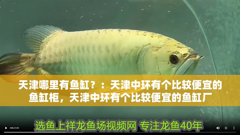 天津哪里有魚缸？：天津中環(huán)有個(gè)比較便宜的魚缸柜，天津中環(huán)有個(gè)比較便宜的魚缸廠
