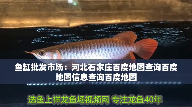魚缸批發(fā)市場：河北石家莊百度地圖查詢百度地圖信息查詢百度地圖