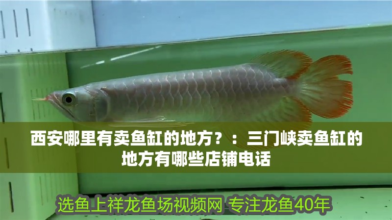 西安哪里有賣魚缸的地方？：三門峽賣魚缸的地方有哪些店鋪電話