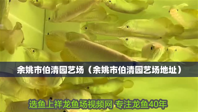 余姚市伯清園藝場（余姚市伯清園藝場地址）