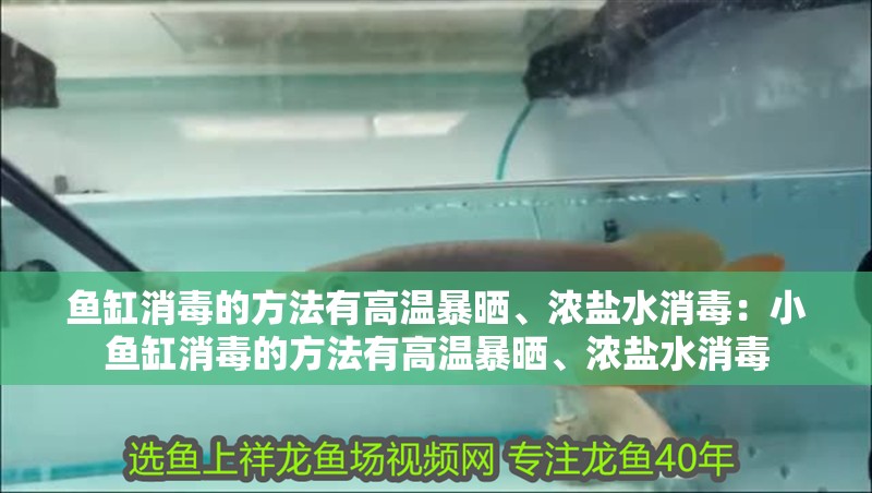 魚缸消毒的方法有高溫暴曬、濃鹽水消毒：小魚缸消毒的方法有高溫暴曬、濃鹽水消毒
