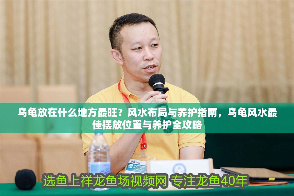 烏龜放在什么地方最旺？風水布局與養護指南，烏龜風水最佳擺放位置與養護全攻略