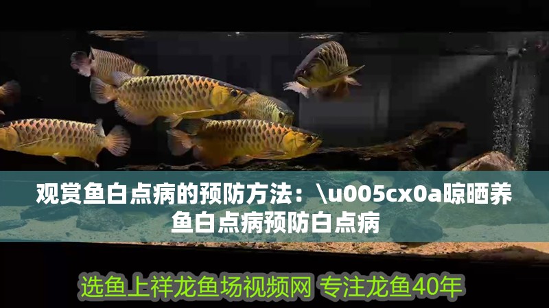 觀賞魚白點病的預防方法：\u005cx0a晾曬養魚白點病預防白點病