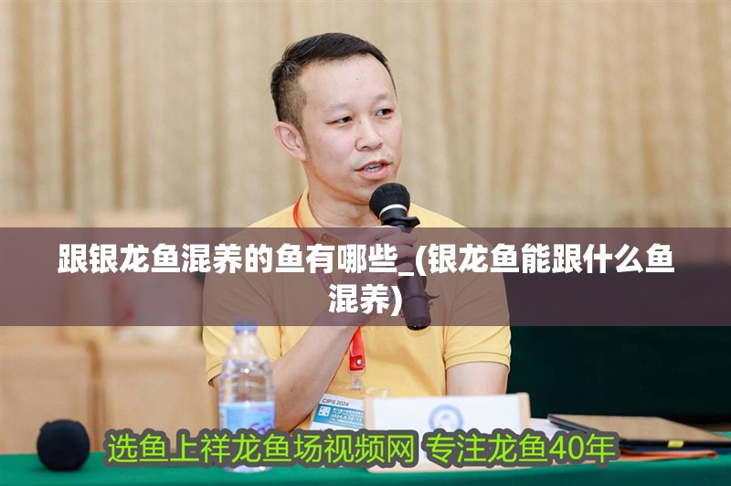跟銀龍魚混養的魚有哪些_(銀龍魚能跟什么魚混養)