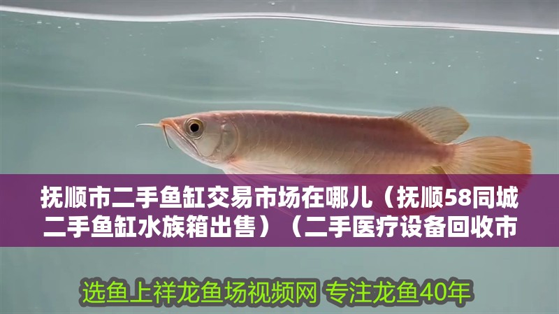 撫順市二手魚缸交易市場在哪兒（撫順58同城二手魚缸水族箱出售）（二手醫療設備回收市場）