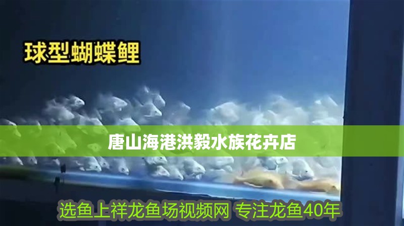 唐山海港洪毅水族花卉店