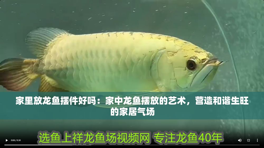 家里放龍魚擺件好嗎：家中龍魚擺放的藝術，營造和諧生旺的家居氣場