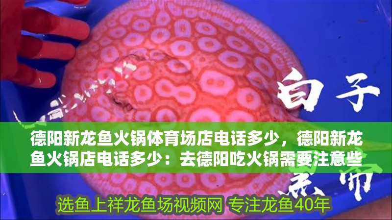 德陽新龍魚火鍋體育場店電話多少，德陽新龍魚火鍋店電話多少：去德陽吃火鍋需要注意些什么？