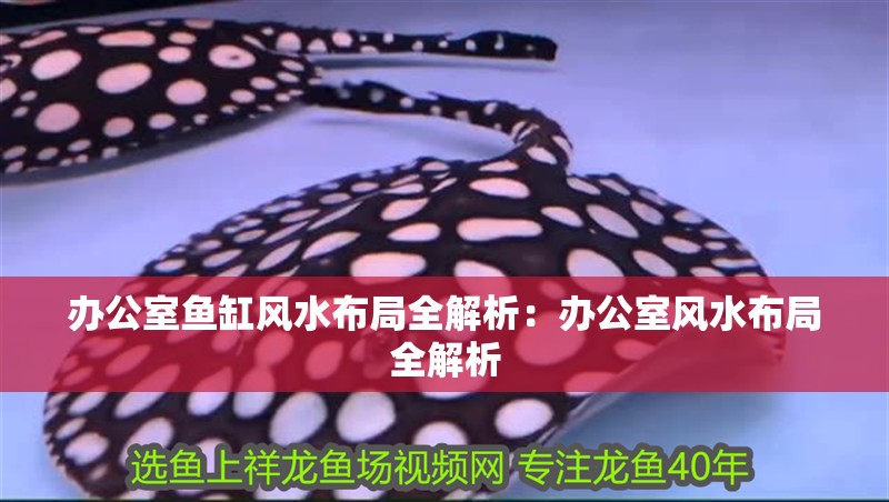 辦公室魚缸風(fēng)水布局全解析：辦公室風(fēng)水布局全解析