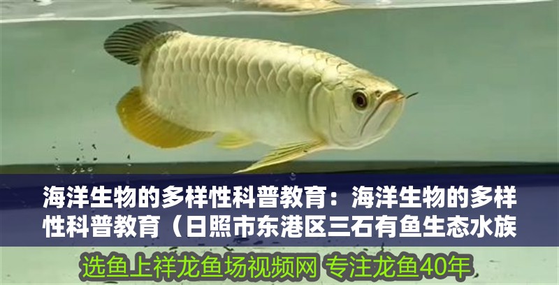 海洋生物的多樣性科普教育：海洋生物的多樣性科普教育（日照市東港區三石有魚生態水族館）