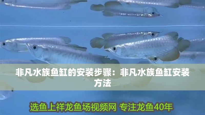 非凡水族魚缸的安裝步驟：非凡水族魚缸安裝方法