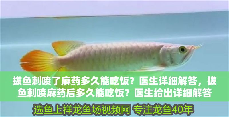 拔魚刺噴了麻藥多久能吃飯?醫生詳細解答,拔魚刺噴麻藥后多久能吃飯?醫生給出詳細解答 龍魚常見疾病 第1張 拔魚刺噴了麻藥多久能吃飯?醫生詳細解答,拔魚刺噴麻藥后多久能吃飯?醫生給出詳細解答 拔魚刺噴了麻藥多久能吃飯?醫生詳細解答,拔魚刺噴麻藥后多久能吃飯?醫生給出詳細解答 龍魚常見疾病 第1張