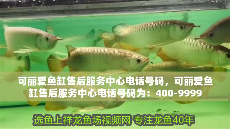可麗愛魚缸售后服務中心電話號碼，可麗愛魚缸售后服務中心電話號碼為：400-9999
