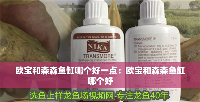 歐寶和森森魚缸哪個好一點：歐寶和森森魚缸哪個好