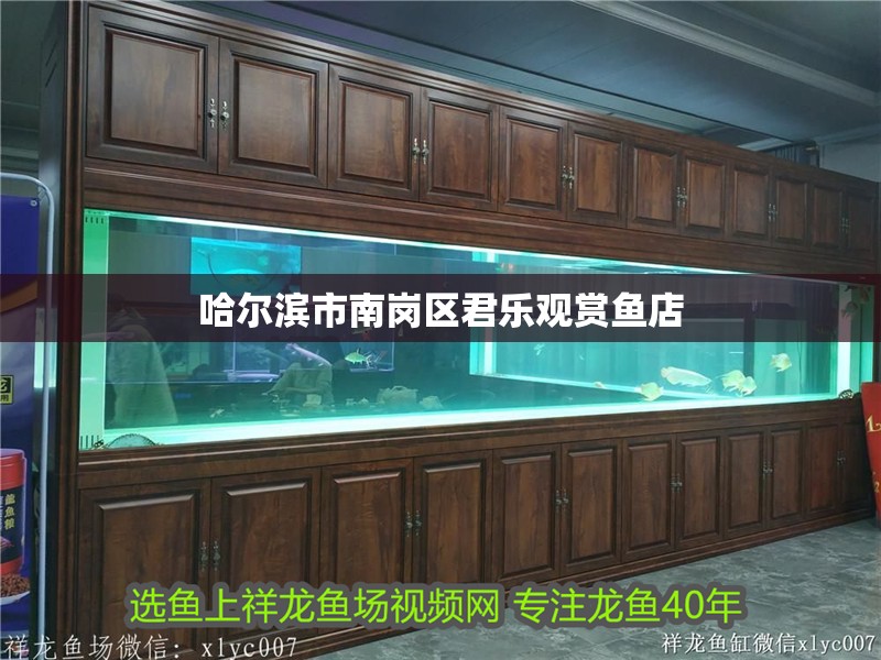 哈爾濱<strong><mark>市南</mark></strong>崗區(qū)君樂觀賞魚店