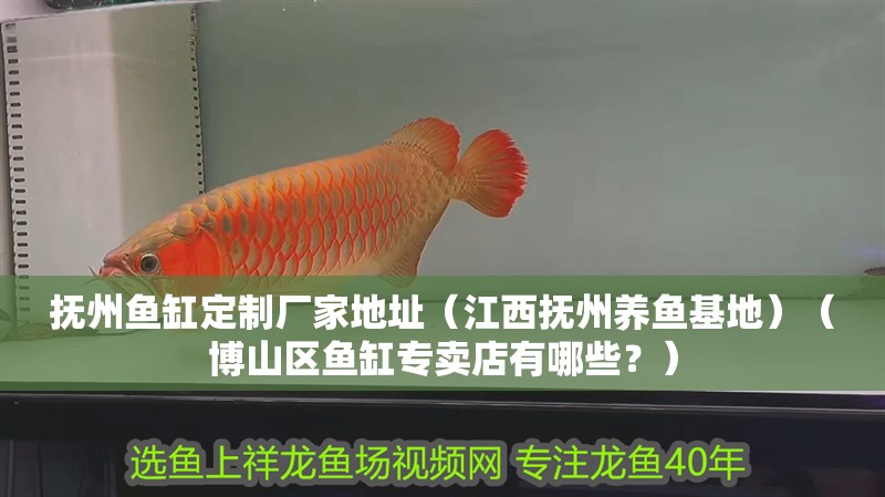 撫州魚缸定制廠家地址（江西撫州養魚基地）（博山區魚缸專賣店有哪些？）