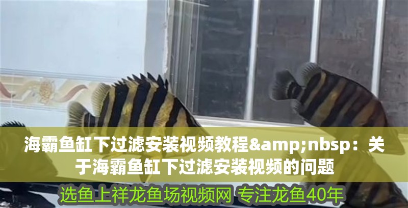 海霸魚缸下過濾安裝視頻教程&nbsp：關于海霸魚缸下過濾安裝視頻的問題