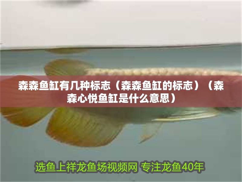 森森魚缸有幾種標志（森森魚缸的標志）（森森心悅魚缸是什么意思）