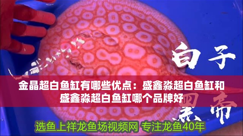 金晶超白魚缸有哪些優點：盛鑫淼超白魚缸和盛鑫淼超白魚缸哪個品牌好