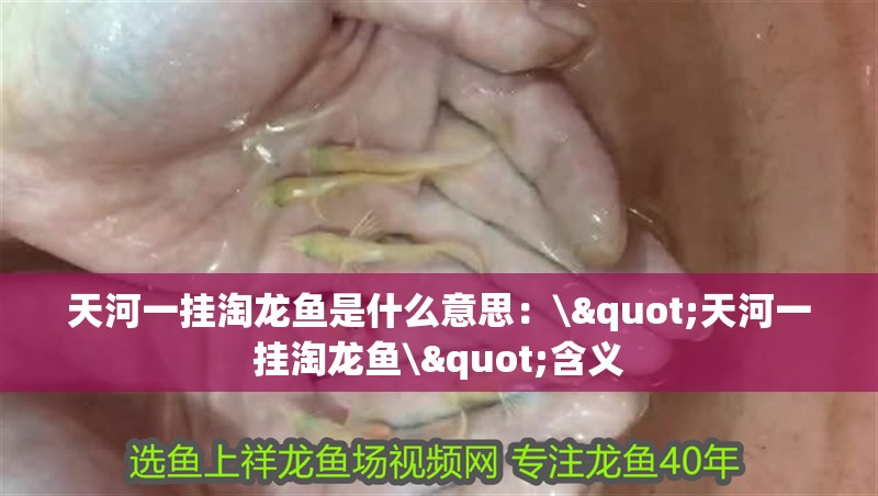 <strong><mark>天河</mark></strong>一掛淘龍魚是什么意思：\"<strong><mark>天河</mark></strong>一掛淘龍魚\"含義
