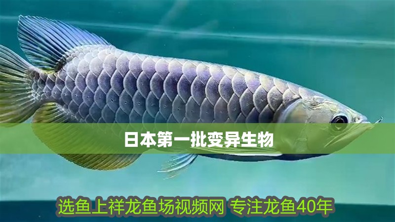 日本第一批變異生物