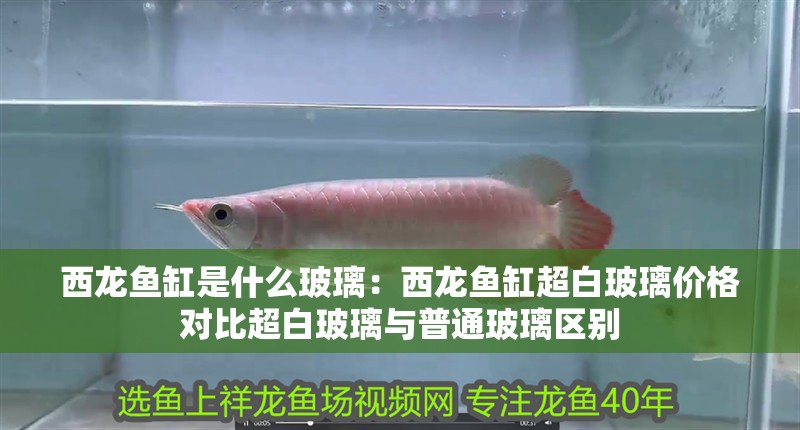 西龍魚缸是什么玻璃：西龍魚缸超白玻璃價格對比超白玻璃與普通玻璃區別