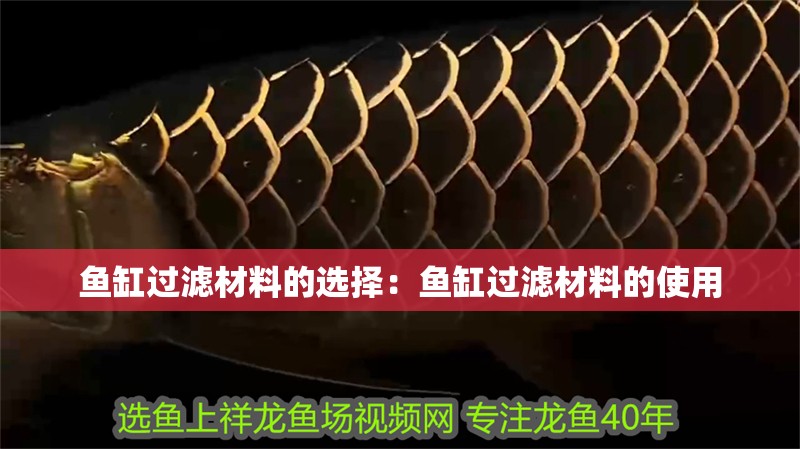 魚缸過濾材料的選擇：魚缸過濾材料的使用