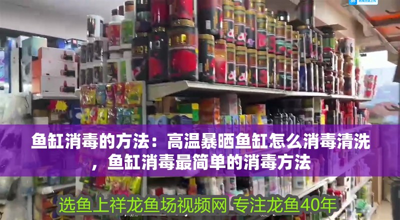 魚缸消毒的方法：高溫暴曬魚缸怎么消毒清洗，魚缸消毒最簡單的消毒方法