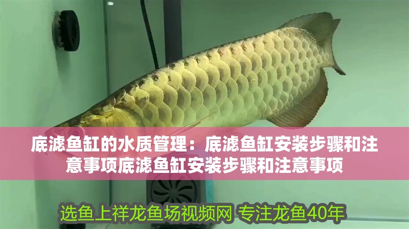 底濾魚缸的水質管理：底濾魚缸安裝步驟和注意事項底濾魚缸安裝步驟和注意事項