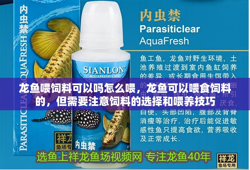 龍魚喂飼料可以嗎怎么喂，龍魚可以喂食飼料的，但需要注意飼料的選擇和喂養技巧