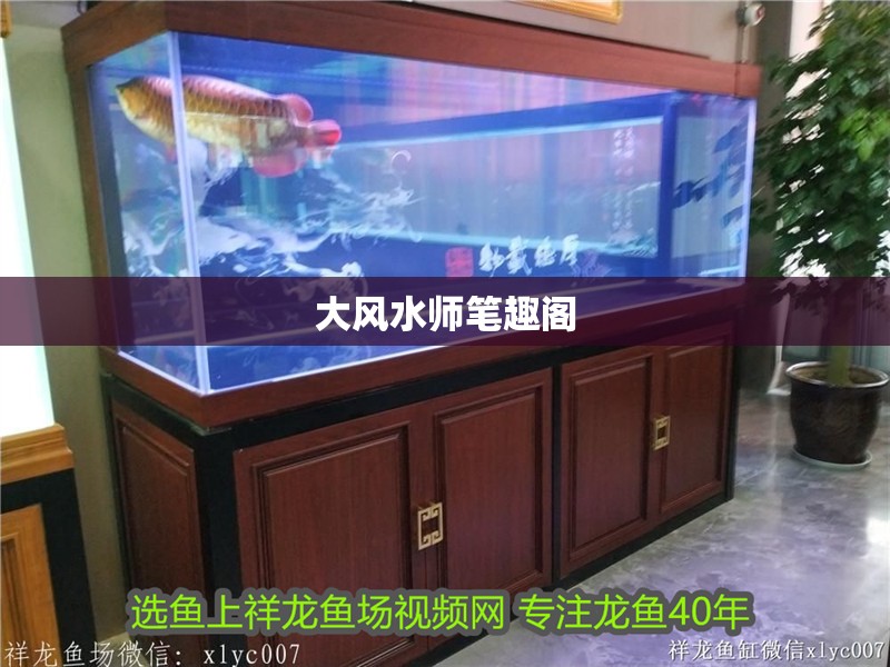 大風水師筆趣閣