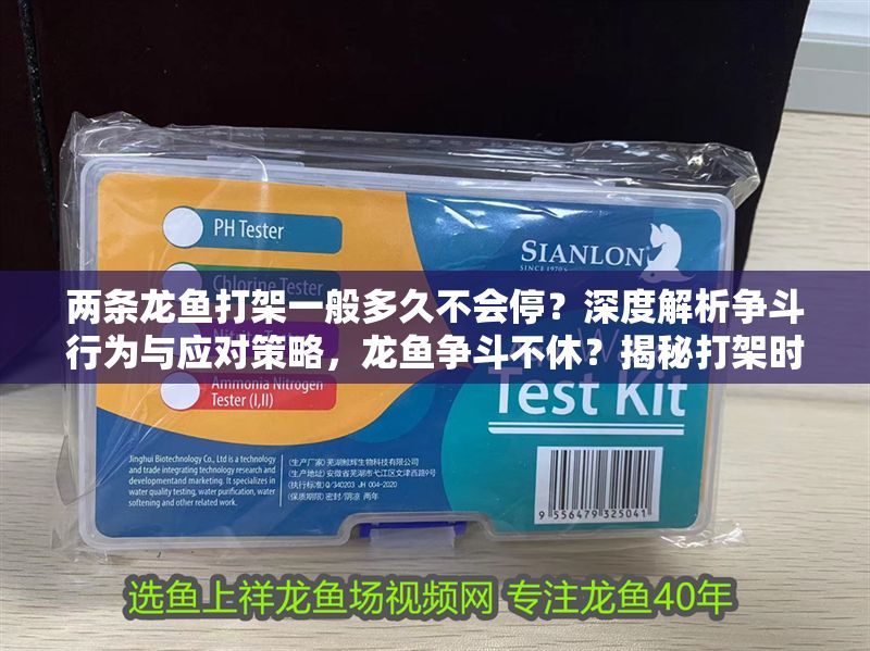 兩條龍魚打架一般多久不會停？深度解析爭斗行為與應對策略，龍魚爭斗不休？揭秘打架時長與高效應對方案