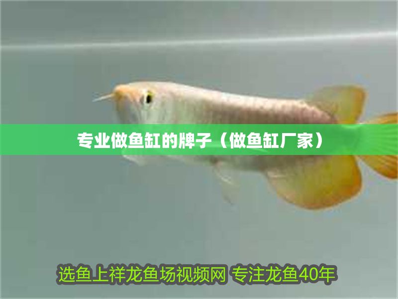 專業做魚缸的牌子（做魚缸廠家）