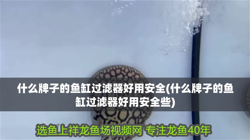 什么牌子的魚缸過濾器好用安全(什么牌子的魚缸過濾器好用安全些)