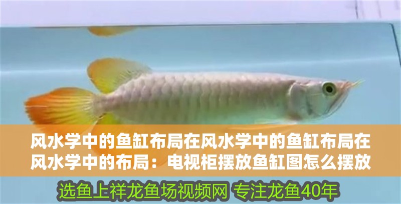 風水學中的魚缸布局在風水學中的魚缸布局在風水學中的布局：電視柜擺放魚缸圖怎么擺放