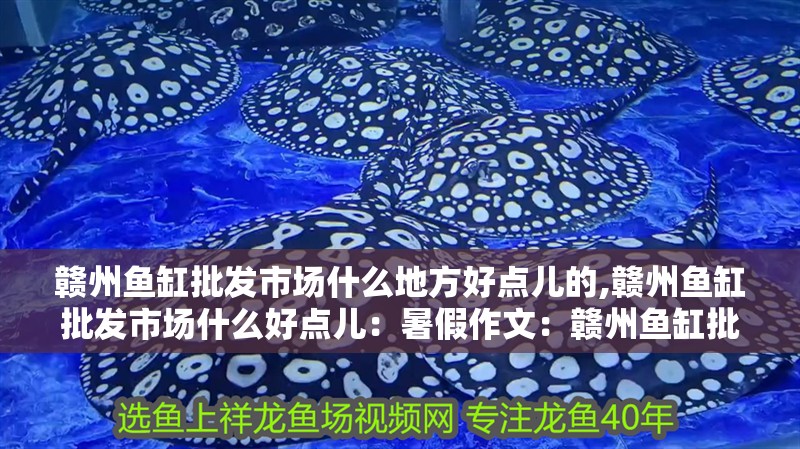 贛州魚缸批發市場什么地方好點兒的,贛州魚缸批發市場什么好點兒：暑假作文：贛州魚缸批發市場什么地方好點兒的
