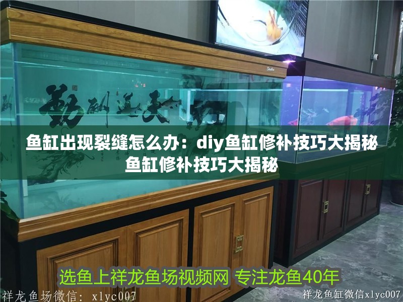 魚缸出現裂縫怎么辦：diy魚缸修補技巧大揭秘魚缸修補技巧大揭秘