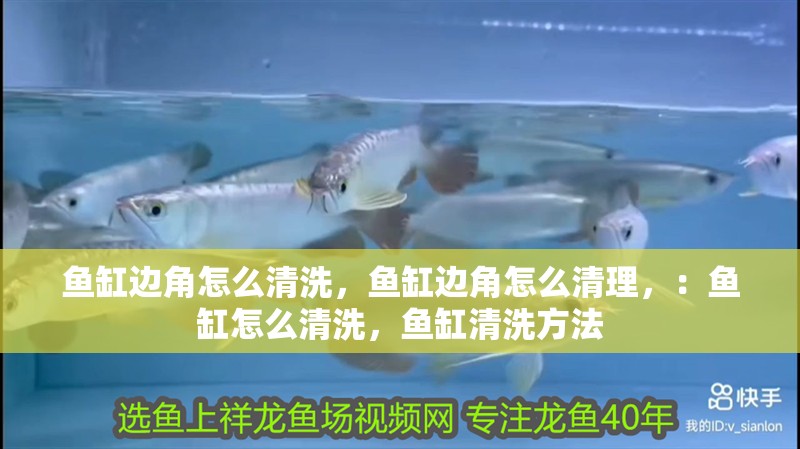 魚缸邊角怎么清洗，魚缸邊角怎么清理，：魚缸怎么清洗，魚缸清洗方法