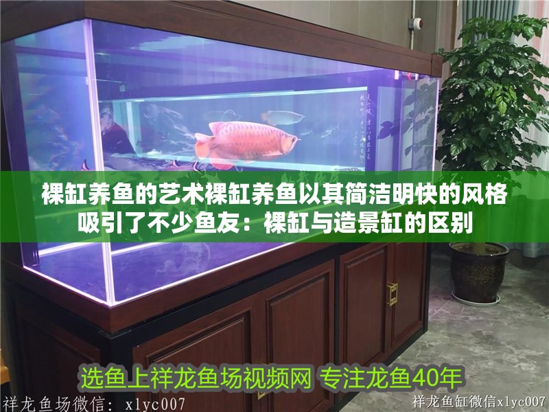 裸缸養魚的藝術裸缸養魚以其簡潔明快的風格吸引了不少魚友：裸缸與造景缸的區別