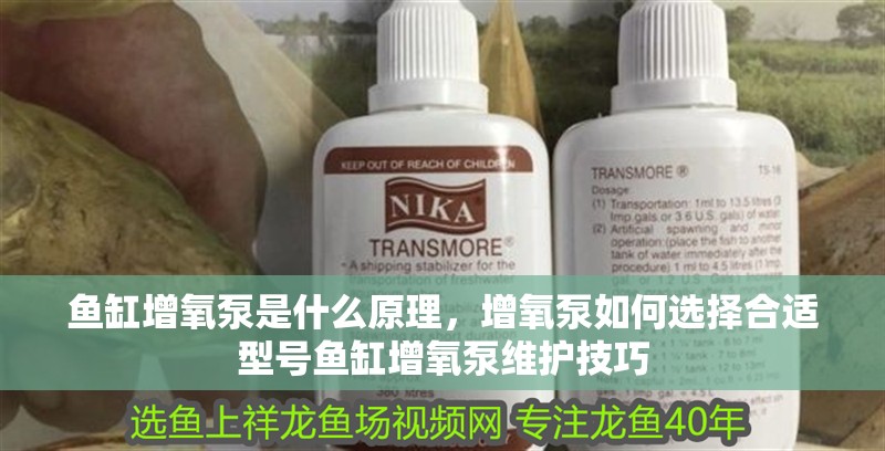 魚缸增氧泵是什么原理，增氧泵如何選擇合適型號魚缸增氧泵維護技巧