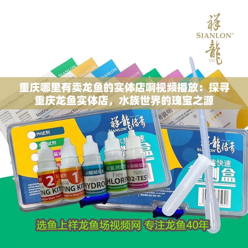 重慶哪里有賣龍魚的實體店啊視頻播放：探尋重慶龍魚實體店，水族世界的瑰寶之源