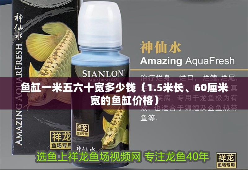 魚缸一米五六十寬多少錢（1.5米長、60厘米寬的魚缸價格）