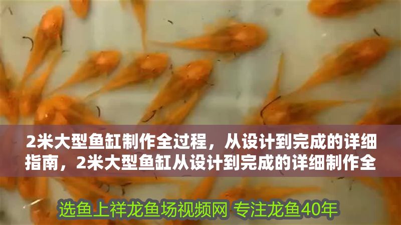2米大型魚缸制作全過程，從設計到完成的詳細指南，2米大型魚缸從設計到完成的詳細制作全過程指南