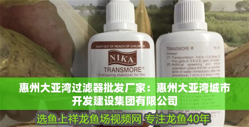 惠州大亞灣過濾器批發廠家：惠州大亞灣城市開發建設集團有限公司
