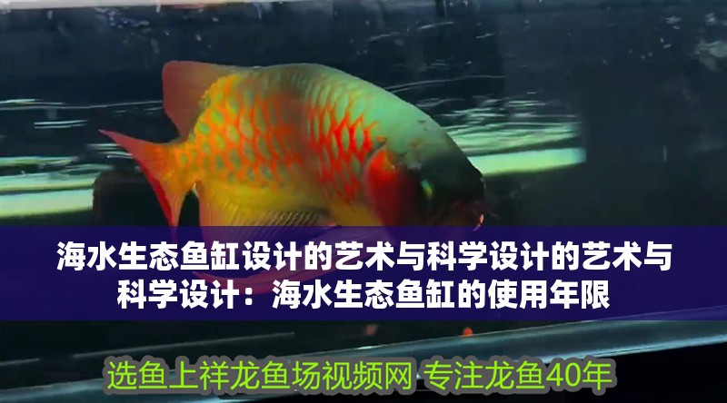 海水生態(tài)魚(yú)缸設(shè)計(jì)的藝術(shù)與科學(xué)設(shè)計(jì)的藝術(shù)與科學(xué)設(shè)計(jì)：海水生態(tài)魚(yú)缸的使用年限