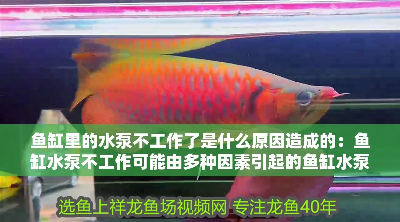 魚缸里的水泵不工作了是什么原因造成的：魚缸水泵不工作可能由多種因素引起的魚缸水泵不工作