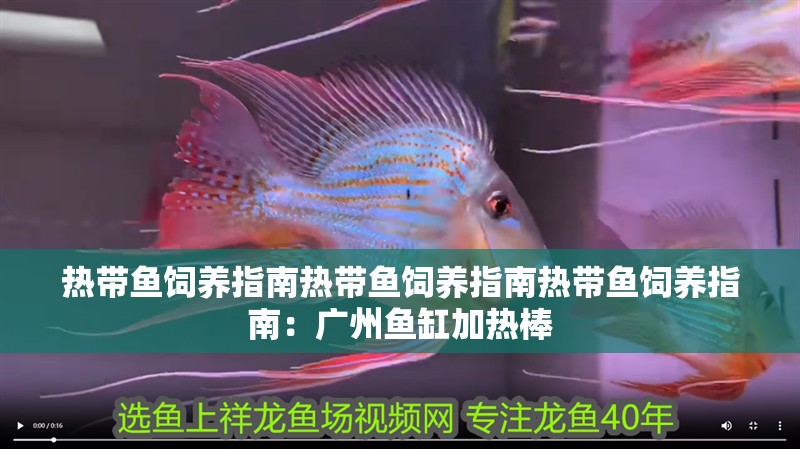 熱帶魚飼養指南熱帶魚飼養指南熱帶魚飼養指南：廣州魚缸加熱棒