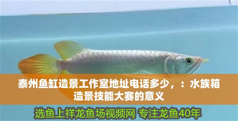 泰州魚缸造景工作室地址電話多少，：水族箱造景技能大賽的意義