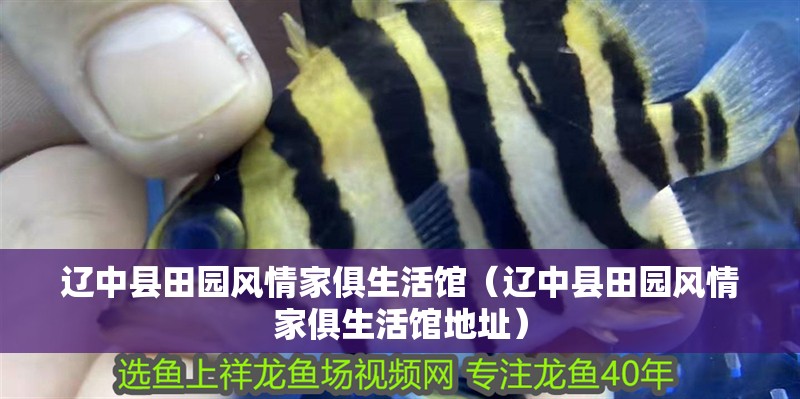 遼中縣田園風(fēng)情家俱生活館（遼中縣田園風(fēng)情家俱生活館地址）