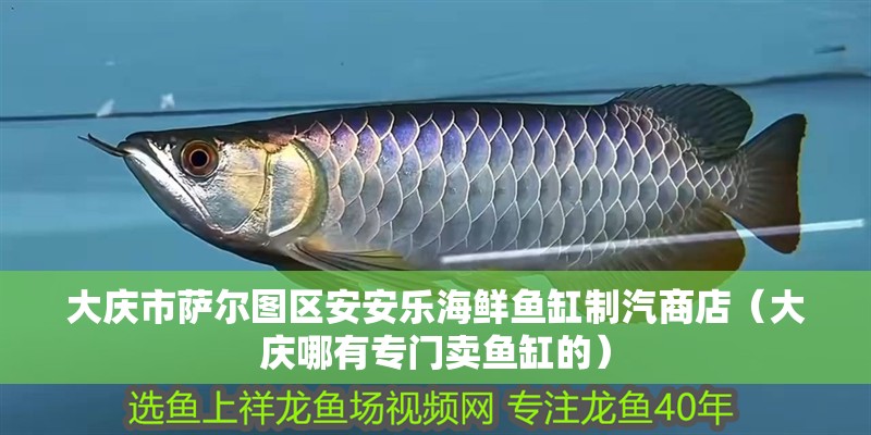 大慶市薩爾圖區安安樂海鮮魚缸制汽商店（大慶哪有專門賣魚缸的）